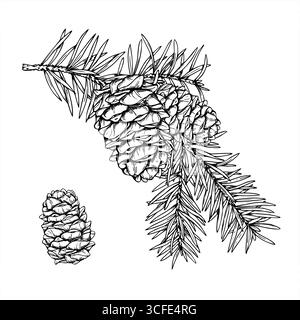 Ramo di abete rosso natalizio con coni illustrazione vettoriale monocromatica dipinta da inchiostri neri. Disegno dell'acquaforte dei ciuffi di pino sempreverdi invernali Illustrazione Vettoriale