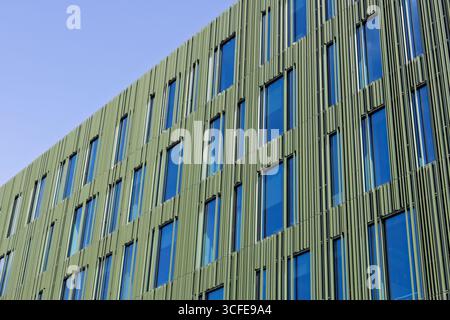 Moderno edificio di uffici con pannelli verdi e finestre di vetro Foto Stock