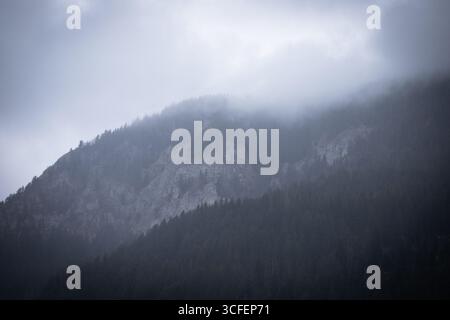 Un paesaggio di montagna si dissolve in una fitta nebbia, con foreste di pini scuri che si innalzano tranquillamente verso scogliere rocciose. L'atmosfera è calma, malinconica Foto Stock