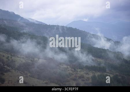 Delicata nebbia si propaga su pendii boscosi di montagna, curvilindosi attraverso la valle e gli alberi con un movimento morbido e vorticoso. La scena evoca calma Foto Stock