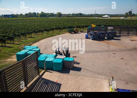 Due trattori presso l'azienda vinicola Jackson-Triggs Winery e vigneti a Niagara-on-the-Lake, Ontario, Canada Foto Stock