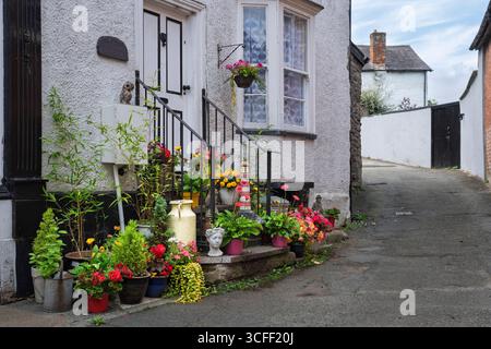 Fiori in vaso che decorano i gradini anteriori di un cottage a Knighton, Powys, Galles Foto Stock