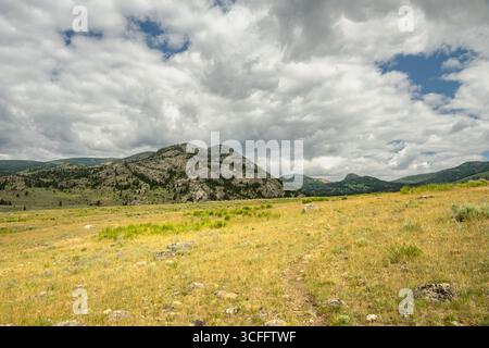 Il Faint Trail attraversa la Low Grasses of Hellroaring area nel parco nazionale di Yellowstone Foto Stock