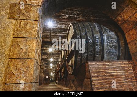 EREVAN, ARMENIA - 4 OTTOBRE 2023. Cantine e botti di vino autografato dai visitatori del museo. Yerevan Ararat Brandy-Wine-Vodka Factory. Foto Stock