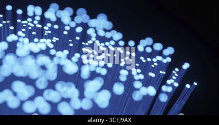 rendering 3d di fibre ottiche lampeggianti per il concetto di trasmissione dei dati Foto Stock
