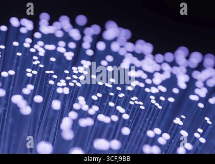 rendering 3d di fibre ottiche lampeggianti per il concetto di trasmissione dei dati Foto Stock