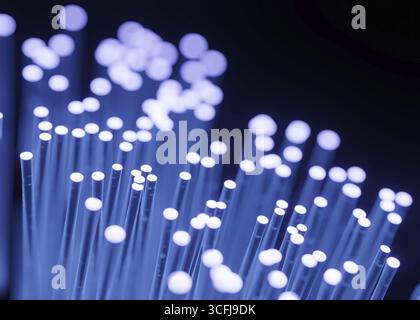 rendering 3d di fibre ottiche lampeggianti per il concetto di trasmissione dei dati Foto Stock
