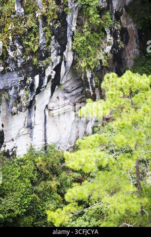 Uno sguardo da vicino alle bare appese a Sagada, nelle Filippine. Un modo unico di rituali in Asia Foto Stock