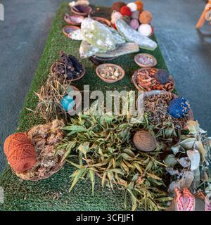 Ingredienti di tintura naturale con filato di lana di alpaca in un mercato peruviano. Piante andine tradizionali, cocciniglia e fibre naturali per la colorazione dei tessuti. Foto Stock