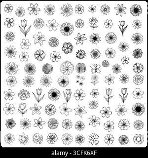 Una collezione di fiori disegnati a mano in bianco e nero con varie forme e disposizioni Illustrazione Vettoriale