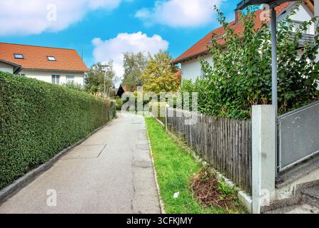 Prato, alberi, siepi verdi e un sentiero in un parco estivo. Foto Stock