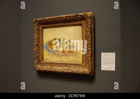 Natura morta, cesto di mele, 1887 dipinti a olio su tela di Vincent Van Gogh, esposti al St. Louis Art Museum di St. Louis, Missouri, USA. Foto Stock