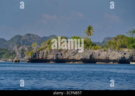 Misool è una delle quattro isole principali delle isole Raja Ampat nel sud-ovest di Papua. Più tardi, quest'isola divenne famosa per la sua bellezza naturale. La zona Foto Stock