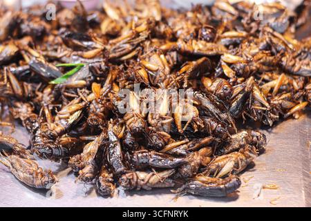 Grilli fritti in profondità sul vassoio con guarnizione, snack thailandesi al mercato notturno, esotica cucina di insetti commestibili conosciuta per la sua croccante e ricca di proteine. Foto Stock