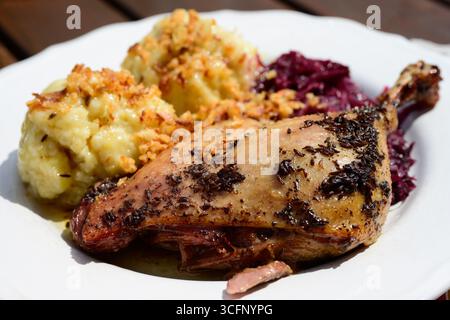 Confit ceco con polpette e cavolo rosso Konfitovana Kachna Foto Stock