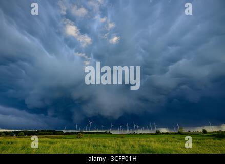 23 agosto 2025, Brandeburgo, Sieversdorf: Le cosiddette nuvole di mammatus appaiono ai margini di una cella di temporale sopra il paesaggio con una fattoria eolica. Questi fenomeni speciali, noti come mammatus, sono formazioni simili a sacchi appese al lato inferiore delle nuvole. Foto: Patrick Pleul/dpa Foto Stock