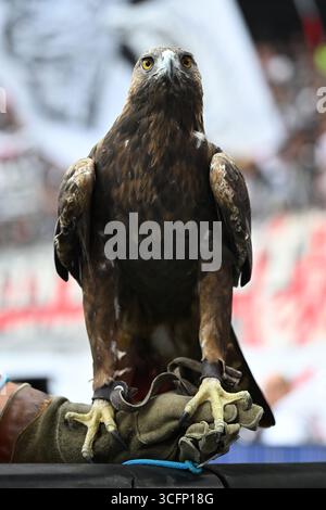 Francoforte, Germania. 23 agosto 2025. Fussball 1. Bundesliga 1. Spieltag Eintracht Frankfurt - SV Werder Brema am 23.08.2025 im Deutsche Bank Park di Francoforte Frankfurter Maskottchen Attila DFL proibisce qualsiasi uso di fotografie come sequenze di immagini e/o quasi-video. Foto: Revierfoto credito: ddp media GmbH/Alamy Live News Foto Stock