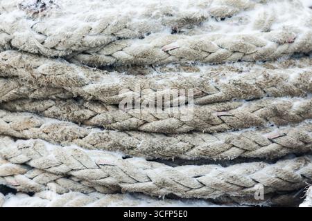 Corde di ormeggio coperte di neve, primo piano. Foto Stock