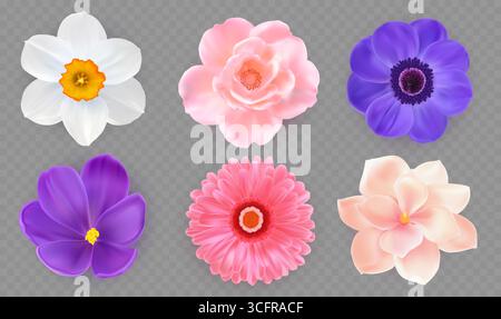 fiori 3d. Margherite primaverili, fiori di peonia, crisantemo floreale, fiori di orchidee, elementi isolati nella natura del giorno estivo. Vista dall'alto con decorazioni di piante viola e rosa. Set di illustrazioni floreali realistiche vettoriali Illustrazione Vettoriale