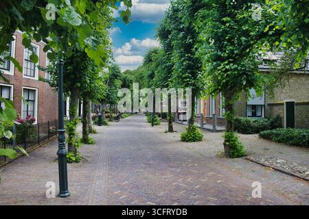 Via principale fiancheggiata da alberi di tiglio in una tipica vecchia città olandese. Langweer, provincia della Frisia, Paesi Bassi Foto Stock