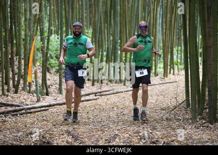 Partecipanti che corrono attraverso una foresta di bambù durante la gara di resistenza Backyard Ultra nelle Azzorre, Portogallo. Foto Stock