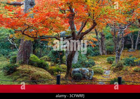Vista panoramica del tempio di Enko-ji con splendida vegetazione in autunno a Kyoto, Giappone Foto Stock