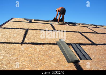 Costruzione di coperture a tegole per asfalto. Costruzione di tetti per tetti con pannelli di trefolo orientati (OSB) e impermeabilizzazione al bitume che eroga tegole di asfalto, Foto Stock
