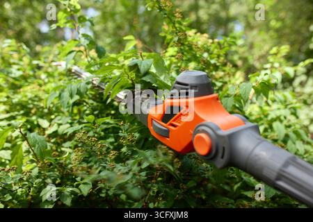 Una vista dettagliata di un tagliasiepi elettrico arancione e nero che taglia attivamente il fogliame in un lussureggiante giardino all'aperto. Questa immagine evidenzia il powe Foto Stock