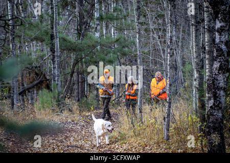Tre generazioni di famiglie a caccia con il cane, Biwabik, Minnesota, Stati Uniti Foto Stock
