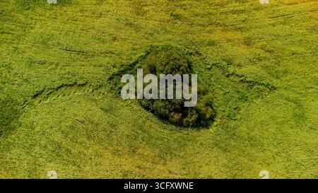 Vista aerea di una formazione a forma di cuore di alberi e vegetazione in un campo verde, caratterizzato da un'estensione naturale simile a una coda. Un motivo unico di arte di terra c Foto Stock