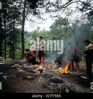 Mehrere Personen entzünden zeremonielle Feuer auf einer bewaldeten Lichtung, vermutlich im Rahmen eines traditionellen Maya-rituals. Guatemala, um 1980. Foto Stock
