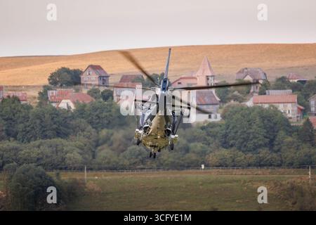 Coppia SAS Dauphin che lavora su SENTA effettuando manovre di basso livello Foto Stock