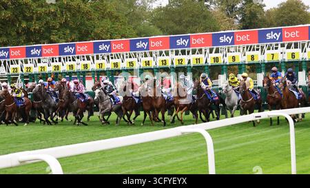 I corridori gareggiano nello Sky Bet Ebor handicap, vinto da Ethical Diamond, all'ippodromo di York, 23 agosto 2025. Foto Stock