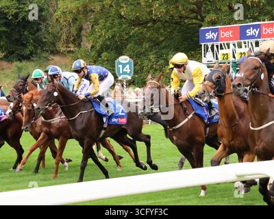 I corridori gareggiano nello Sky Bet Ebor handicap, vinto da Ethical Diamond, all'ippodromo di York, 23 agosto 2025. Foto Stock