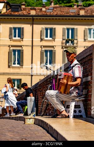 Musicista di strada che suona la fisarmonica a Verona Foto Stock