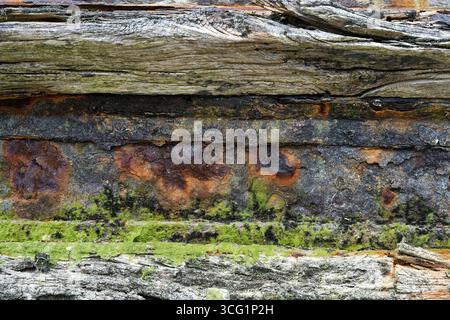 Naufragio nel cimitero delle barche di Quelmer, dettaglio, Francia, Bretagna, Saint-Malo Foto Stock