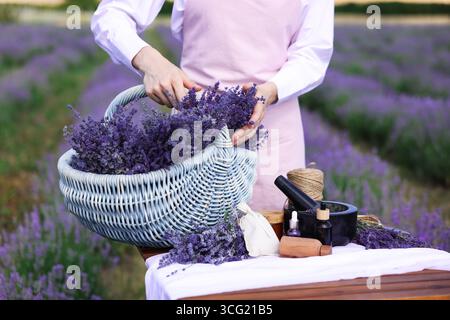 Fare cosmetici naturali. Donna con cesto in vimini di fiori di lavanda e altri ingredienti a tavola nel campo, primo piano Foto Stock