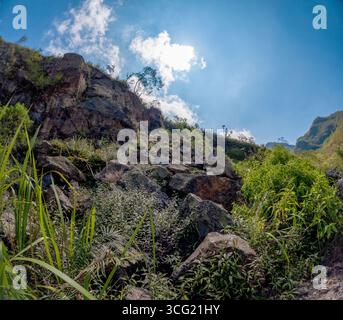 I tamponi mestruali usati si trovano sulle rocce del fiume. sembra sporco e disgustoso. Foto Stock