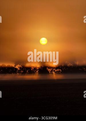 Alba sul lungomare nella campagna nebbiosa. Il sole arancione sorge sopra le sagome scure degli alberi ricoperte di nebbia. Foto Stock