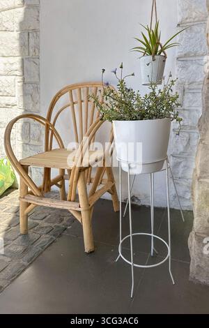 accogliente patio in stile boho minimalista con piante in vaso e sedia in legno di bentwood su un muro di pietra. Concetti di giardinaggio casalingo, relax ed eco-friendly l Foto Stock