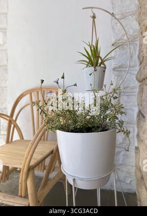 accogliente patio in stile boho minimalista con piante in vaso e sedia in legno di bentwood su un muro di pietra. Concetti di giardinaggio casalingo, relax ed eco-friendly l Foto Stock