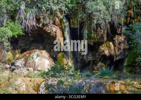 Vegetación y agua en el nacimiento del Río Cuervo en Vega del Codorno, Serranía de Cuenca. Monumento naturale protegido de Castilla la Mancha. Foto Stock