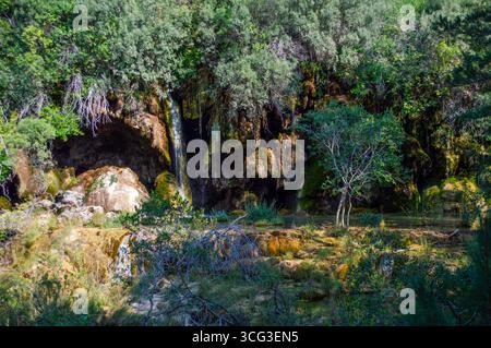 Vegetación y agua en el nacimiento del Río Cuervo en Vega del Codorno, Serranía de Cuenca. Monumento naturale protegido de Castilla la Mancha. Foto Stock
