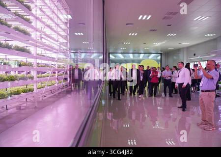Tianjin, la provincia cinese dello Shaanxi. 19 maggio 2025. I partecipanti al Forum 2025 dell'Organizzazione per la cooperazione di Shanghai (SCO) sulla riduzione della povertà e lo sviluppo sostenibile visitano una base dimostrativa per l'agricoltura intelligente a Yangling, nella provincia di Shaanxi, nel nord-ovest della Cina, 19 maggio 2025. Crediti: Shao Rui/Xinhua/Alamy Live News Foto Stock