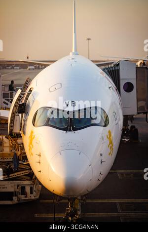 Boing etiope 787 all'aeroporto internazionale Addis Abeba Bole Foto Stock