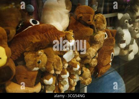 Mostra di peluche in una vetrina, tra cui scoiattoli, orsi e altri giocattoli morbidi. Foto Stock