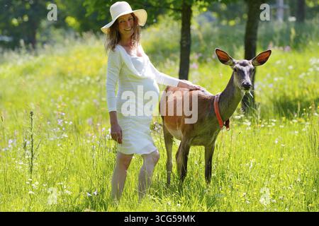 Donna incinta con adame doe, cervo europeo, cervo elafus, domino, Karlovy Vary, Boemia occidentale, Repubblica Ceca Foto Stock