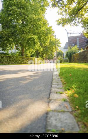 Strada tranquilla costeggiata da grandi alberi verdi che gettano ombra sul marciapiede, Nagold, quartiere di Calw, Foresta Nera, Germania Foto Stock