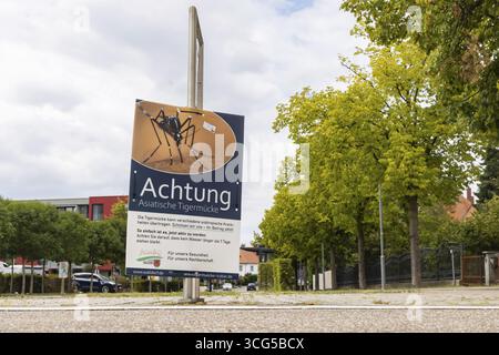 Attenzione zanzara tigre asiatica (Aedes albopictus) . Poster con avvertenze di pericolo e regole di comportamento per la popolazione della città di Walldorf. Muro Foto Stock