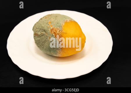 Primo piano di un limone ammuffito su un piatto bianco concetto di spreco di frutta rovinato e pericolo alimentare malsano Foto Stock